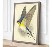 Blue Yellow Songbird in Canvas Wall Art Print 18x12 Inch