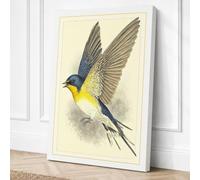 Blue Yellow Songbird in Canvas Wall Art Print 30x20 Inch
