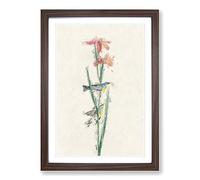 Blue & Yellow Warbler Birds by John James Audubon Framed Print | A2 Walnut Framed Wall Art | Ready to Hang | Modern Nature Picture | Living Room Bedroom Lounge Office