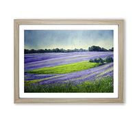 Bluebell Field In Watercolour Framed Wall Art Print A2 Oak