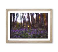 Bluebell Forest in Canterbury Painting Framed Print | A2 Oak Framed Wall Art | Ready to Hang | Modern Landscape Picture | Living Room Bedroom Lounge Office