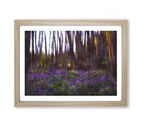 Bluebell Forest In Canterbury Painting Modern Art Framed Print | A4 Oak Framed Wall Art | Ready to Hang | Modern Landscape Picture | Living Room Bedroom Lounge Office