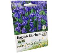 Bluebell - Hyacinthoides Non-scripta - Native English Seeds.- 200 Bluebell Seeds