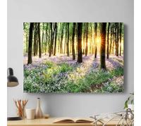 Bluebells Forest Sunlight Canvas Wall Art Picture Print Decoration (46cm X 31cm)