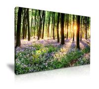 Bluebells Forest Sunlight Canvas Wall Art Picture Print Decoration (91cm X 61cm)