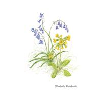 Bluebells Notebook: Lined Notebook Journal 120 Pages 6X9", Original Watercolour Flowers Painting Notebook. The Perfect Gift for Mum, Girl, Daughter, Teacher or Students