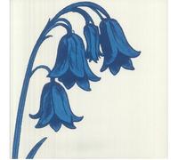 Bluebells - This Is The Bluebells [VINYL]