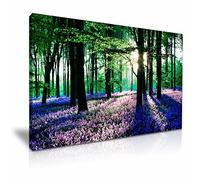 Bluebells Woods Forest Canvas, Green Tree Spring Sunlight Canvas, Wall Art Picture Print Gift for Home Office Room Decoration (XL: 91cm X 61cm)