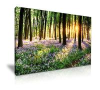 Bluebells Woods Forest Green Tree Spring Sunlight Canvas Wall Art Picture Print Large 76cmx50cm for Modern Family Home Room