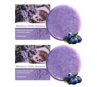 Blueberry Fields Shampoo & Conditioner Solid Bar Bundle for Hair Loss Reduction & Scalp Care | Natural Blueberry Extract, Shea Butter, Orange Oil | Lasts 75-90 Washes, Reduces Breakage & Frizz (2)
