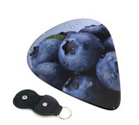 Blueberry Guitar Picks 6 Pcs, 0.46mm Thickness Celluloid Plectrum with Leather Picks Holder, Personalized Guitar Pick for Bass Electric Acoustic Guitars Lovers Gift