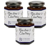 Blueberry Hill Preserves - Spiced Rhubarb Chutney - 200g - Pack of 3