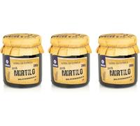 Blueberry Jam - Pack of 3 280 g Bottles - Sweet and Traditional Flavor - Ideal for Desserts and Breakfasts - Without Dyes or Preservatives - Gourmet Product of Portuguese Origin