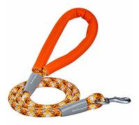 Blueberry Pet 2021 New Durable Diagonal Striped Dog Rope Leash in Orange with Comfy Neoprene Handle, 4 ft, Strong Leashes for Dogs