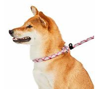 Blueberry Pet 2021 New Durable Slip Lead Rope Dog Leash with Comfy Neoprene Handle, Pink-Tone, 6 ft, Strong Training Leashes for Dogs