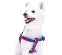 Blueberry Pet Comfy Step-in Urban Chic Diamond Pattern Padded Dog Harness, Chest Girth 40cm-50cm, Bold Red, XS/S, Adjustable Harnesses for Dogs