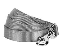 Blueberry Pet Durable Classic Solid Color Dog Lead 120 cm x 2.5cm in Flint Gray, Large, Basic Nylon Leads for Dogs, Matching Collar & Harness Available Separately