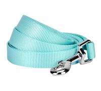 Blueberry Pet Durable Classic Solid Color Dog Lead 150 cm x 1.5cm in Mint Blue, Small, Basic Nylon Leads for Dogs, Matching Collar & Harness Available Separately
