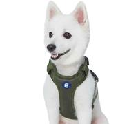 Blueberry Pet Essentials 2020 New Better Basics No Pull Dog Harness with Back Leash Clip, Military Green, Small, Adjustable Mesh Padded Soft Vest for Dogs