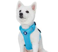 Blueberry Pet Essentials 2020 New Better Basics No Pull Dog Harness with Back Leash Clip, Turquoise, Large, Adjustable Mesh Padded Soft Vest for Dogs