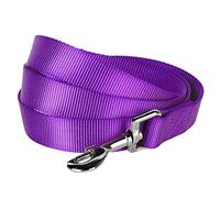 Blueberry Pet Essentials Dark Orchid Dog Leash for Medium 5' * 3/4" Dogs | Heavy Duty Nylon Lead