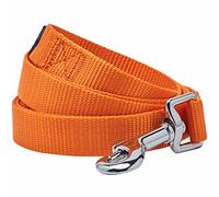 Blueberry Pet Essentials Durable Classic Dog Leash | Basic Nylon Dog Leash | 5ft. x 5/8" Small Dog Leash | Orange Vermilion Dog Leash | Standard Dog Leashes & Lightweight Dog Leash for Training
