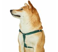 Blueberry Pet Essentials Step-in Dog Harness, Medium Size | Adjustable Verdant Green Vest | Classic Solid Nylon for Boy & Girl Dogs, Chest Girth 20" -26"