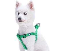 Blueberry Pet Harness. Chest circumference: 42-54 cm, Classic, Solid, Emerald, Adjustable Nylon, Dog Harness, Matching Collar and Lead Sold Separately.