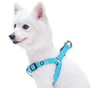 Blueberry Pet Harness. Chest circumference: 67-98 cm, Classic, Solid, Turquoise, Adjustable Nylon, Dog Harness, Matching Collar and Lead Sold Separately.