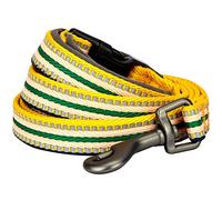 Blueberry Pet Lead with Soft & Comfortable Handle, 120 cm x 2.5cm 3M Reflective Multi-colored Stripe Dog Lead in Yellow & Green, Large, Leads for Dogs, Matching Collar Available Separately