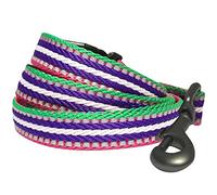 Blueberry Pet Lead with Soft & Comfortable Handle, 120 cm x 2.5cm 3M Reflective Multi-colored Stripe Dog Lead in Pink, Large, Leads for Dogs, Matching Collar & Harness Available Separately
