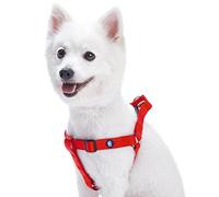Blueberry Pet Step-in Classic Dog Harness, Chest Girth 51cm-66cm, Rouge Red, Medium, Adjustable Harnesses for Dogs