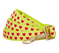 Blueberry Pet Valentine's Day Dog Leash, Velvety Soft-Touch Heart Flocking