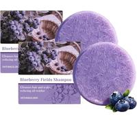Blueberry Shampoo & Conditioner Bar Bundle,Hydrating Solid Shampoo with Gentle Formula to Reduce Frizz and Nourish Hair,Long-Lasting Natural Hair Wash