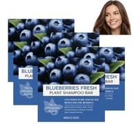 Blueberry Solid Shampoo and Conditioner Bar - Organic Shampoo and Conditioner Set,Herbal Hair Strengthening Soap Bar, Soft and Smooth Hair Bar Set, Travel Bars Shampoo and Conditioner (5PCS)