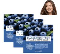 Blueberry Solid Shampoo and Conditioner Bar - Organic Shampoo and Conditioner Set,Herbal Hair Strengthening Soap Bar, Soft and Smooth Hair Bar Set, Travel Bars Shampoo and Conditioner (3PCS)