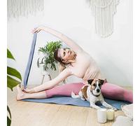 Blueberry Style Variety Gift Box in Multicolor Braids - Soft Large Dog Collar, High Density 6 ft Yoga Stretch Strap and Skinny Elastic Headbands for Pet Lover