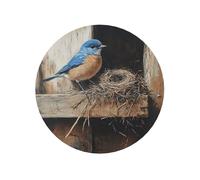 Bluebird Sits On Her Nest Round Magnetic Fridge Magnets For Kitchen Durable With Enduring Magnetism