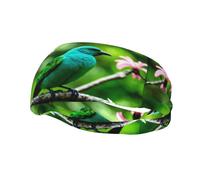 Bluebird Standing On Branch Pattern Sports Sweatband Headscarf Head Bands for Women Men Suitable for Running Yoga Fitness Football