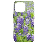 Bluebonnet Texas Wildflower Case for iPhone 16 Pro
