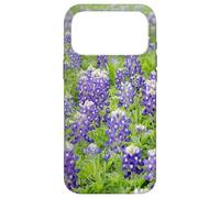 Bluebonnet Texas Wildflower Case for iPhone 17 Pro Max