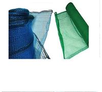 BLUEBRIT Construction Scaffolding Debris Netting Green or Blue 2M X 50M Protection Netting For Crops, Plants, Gardening And Debris Management (Green)
