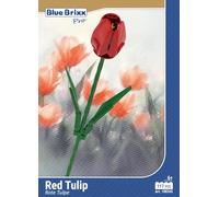 BlueBrixx Pro 108345 - Red Tulip of Clamping Blocks with 117 Building Elements