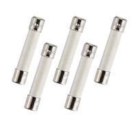 BlueCatELE Microwave Fuse 20 Amp 250V 6x30 mm/0.24x1.2 in(Dia x Len) Slow-Blow Ceramic Fuse 5 PCS Universal Replacement for GE WB27X10388 and Whirlpool Kenmore Other Microwaves