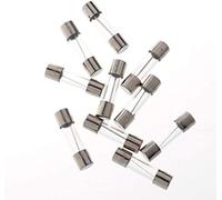 BLUECELL pack of 10 pcs Slow-Blow Fuse 2A 250V Glass Fuses 20 x 5mm