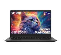 BLUEING 14 Inch Laptop Computer, 8GB RAM 256GB SSD, Laptop with Gold 6500Y (Beat N5095, Up to 3.4GHz), Laptops