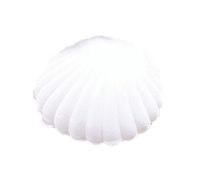 Bluelans® Lovey Shell Shaped Necklace Ring Earrings Display Case Storage Jewellery Gift Box Jewelry (White)