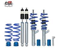 BlueLine coilover kit suitable for VW Passat 3C incl.station wagon1.9TDi+2.0TDI