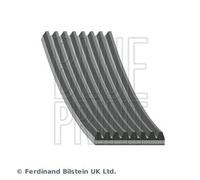 Blueprint AD08R1173 V-Ribbed Belt 1173mm Length 8 Ribs Belt Drive Fits Mazda 6