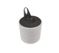 Blue Print ADB112217 Air Filter